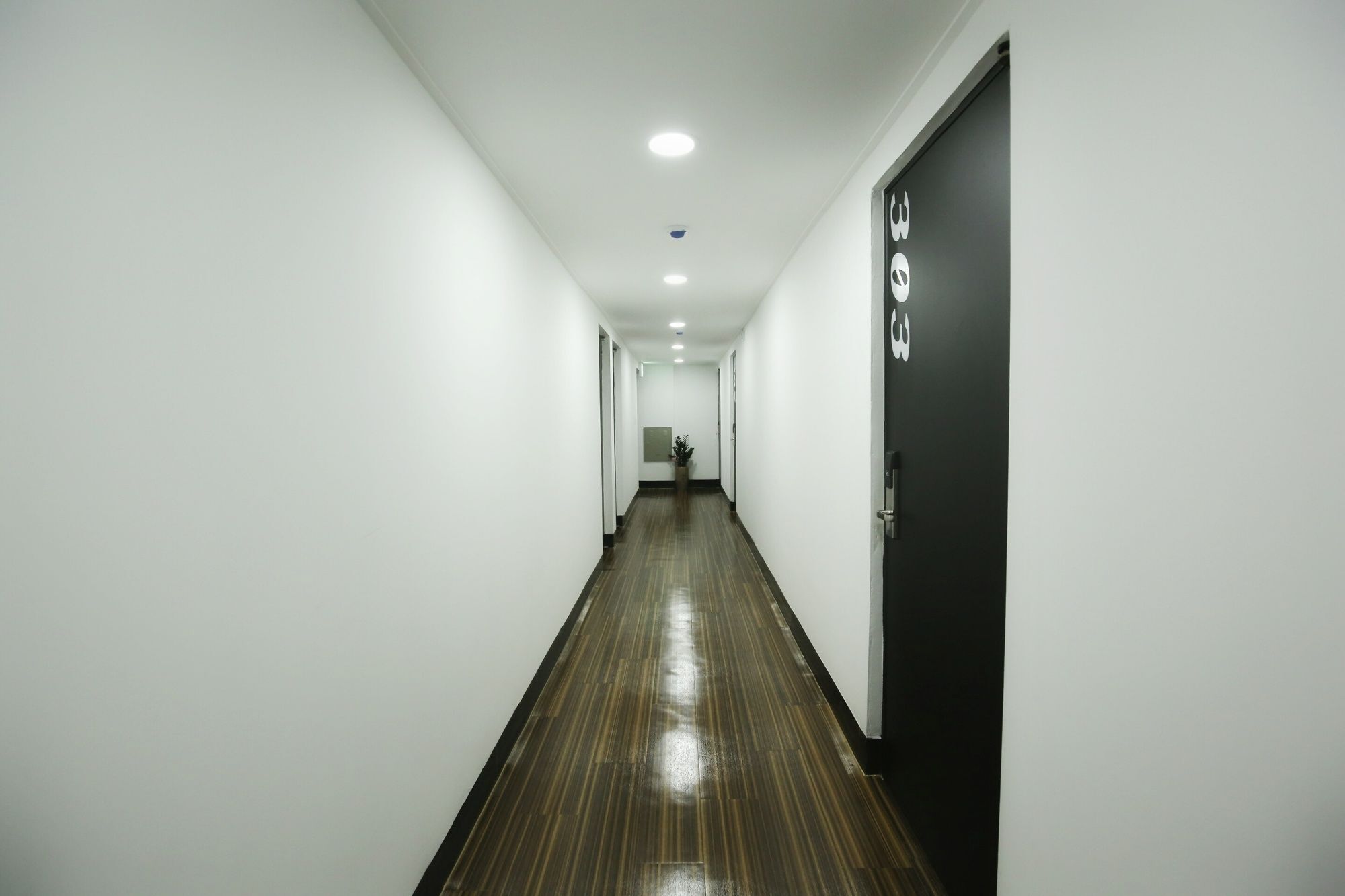 Stayan Guesthouse And Bnb Busan Extérieur photo